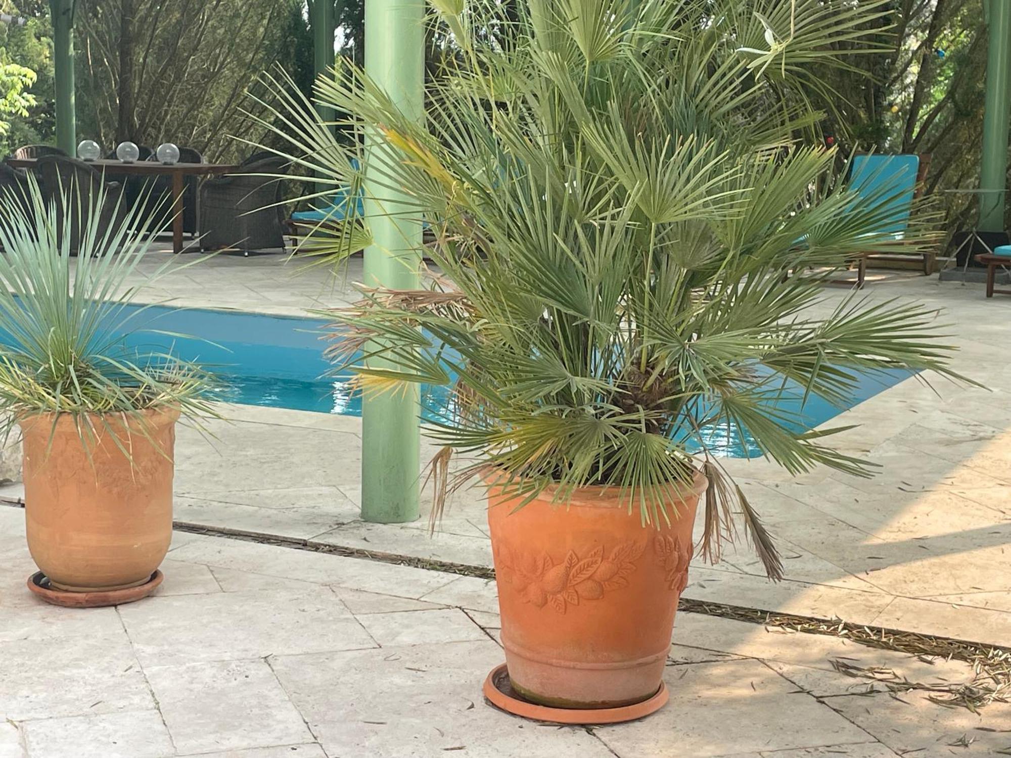 Domaine Spa Perret-Chateau Artdeco Mastersuite En B&B Et-Ou Gite De Charme-Giverny A 3Mn-Jardins Monet-Le Vexin-Piscine Ete-Parc 3Ha-Aire De Jeux Enfants-Pingpong-Options Breakfast-Diner-Billard-Sauna-Fitness-Hammam-Promo 2Nuits En Sus Jacuzzi 1H Off Sainte-Genevieve-les-Gasny מראה חיצוני תמונה
